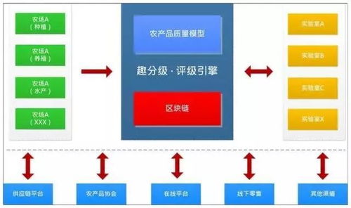 农业信用革命 数据驱动的水果分级与芝麻信用式服务